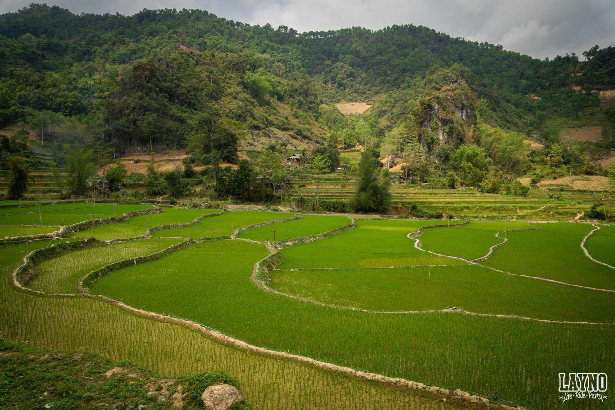 Quiri Hostel Ha Giang Lang Lap Bagian luar foto