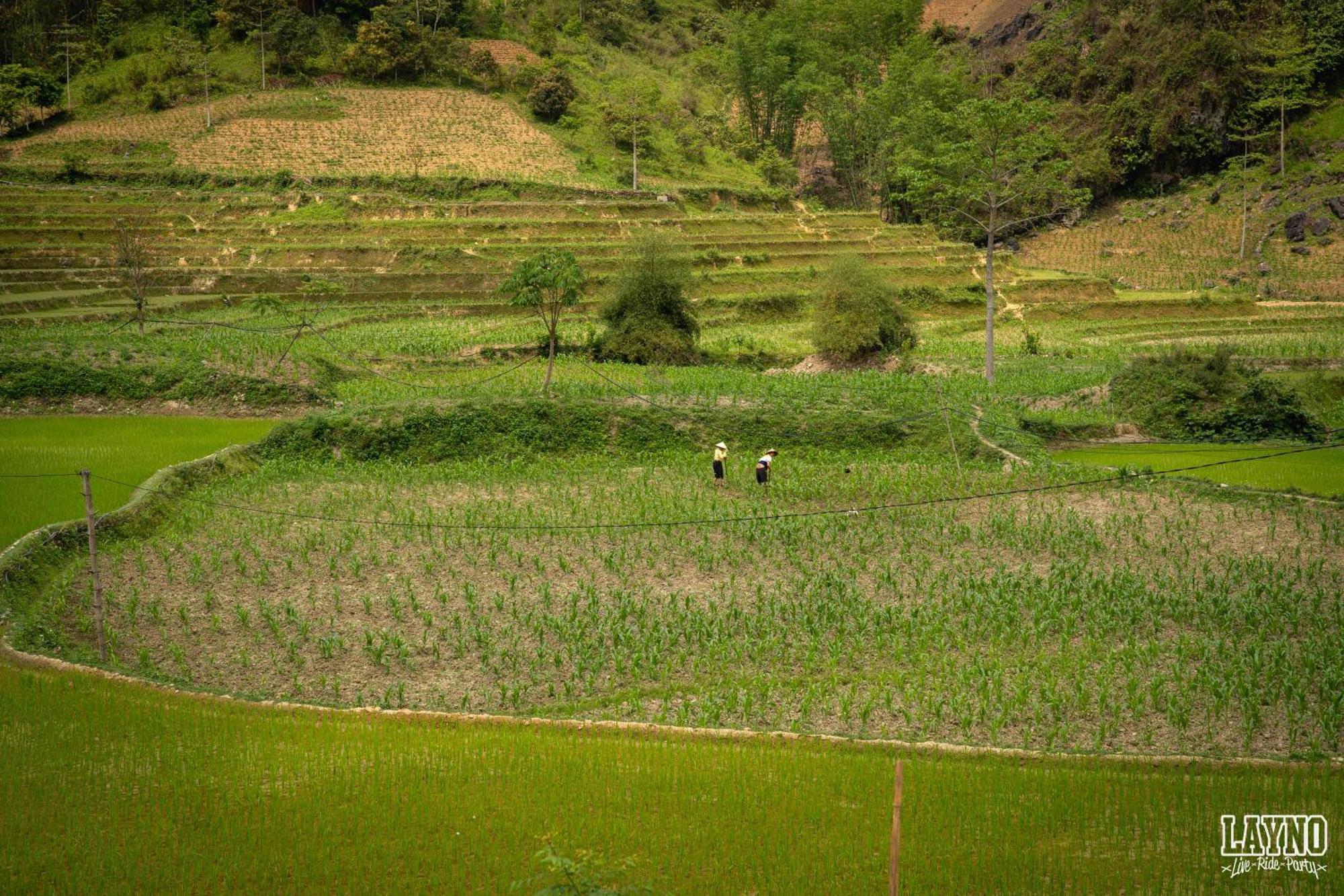 Quiri Hostel Ha Giang Lang Lap Bagian luar foto